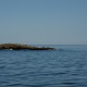 Junior took us to a place where seals often seen lounging around. We saw a dozen of them laying on this rock and some in the water.