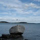 A seagull flew over Stevo's head.