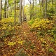 Back on Kilkenny Ridge Trail.