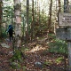 On the trail again.
