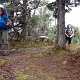 Spur trail to the summit of Terrace mountain.