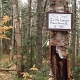 Westward portion of the York Pond trail is no longer maintained.