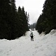 After a very short walk in the woods, the trail led into a avalanche field. <Photo by Kim>