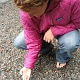 Picking souvenir.