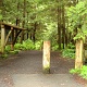 Arrived at Cape Flattery.