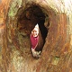 There was a Kim in the tree!
