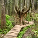 Cool tree.