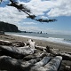 Down to Third Beach.