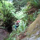 It was pretty rugged but neat climb.  The rope sure made it easier.