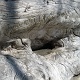 Cool texture.