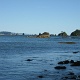 Many sea lions sun bathing on the rocks at Strawberry Point.