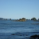 More sea lions.