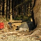 Our tent embracing the sunset.