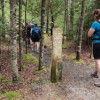 South Ridge trail starts from Blackwood campground.