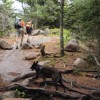 Heading out of the wooded trail.