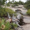 South Ridge Trail.