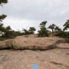 South Ridge Trail.
