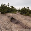 South Ridge Trail.
