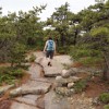 South Ridge Trail.