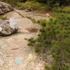 South Ridge Trail.