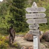 We decided to forgo tagging the summit, and heading down to Jordan Pond from here.