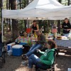 Another relaxing morning at the campsite.
