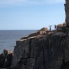 Other climbers.
