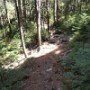 Beautiful woods.