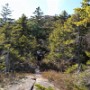 Middle Sister is straight ahead of us.
