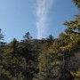 Middle Sister.