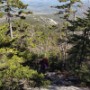 The white ledgy area on the ridge must be Carter Ledge. We came a long way.