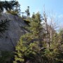 More ledge to climb.