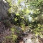 Thanks goodness the trail goes around the ledge.