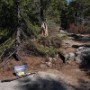 Gillian and Jason were meeting up with us. We made a makeshift trail sign to direct them to our site.