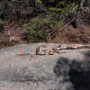 Well, they're haven't shown up by the time we left the camp, so we reversed the makeshift sign to point the direction we're heading.