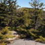 View of the  Middle Sister from the site.