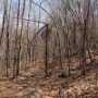 Weetamoo trail