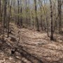 Weetamoo trail.