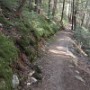 Weetamoo trail.
