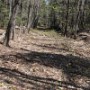 A old logging road crossed Weetamoo trail.