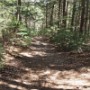 Pipper Trail.