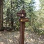 Which way?