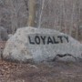 Loyalty.
