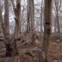 The batman trail.
