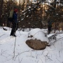 Begining of the bushwhack.