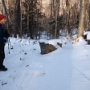 The bushwhack merged the Liberty spring trail, before the Flume Slide tr junction.