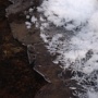 Snow flakes floating on a thin sheet of ice.