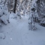 Headed to Mt Flume.