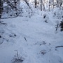 We found a couple of tentsite between the junction and the summit. This one is right off the trail.