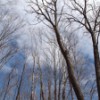 Osseo Trail.